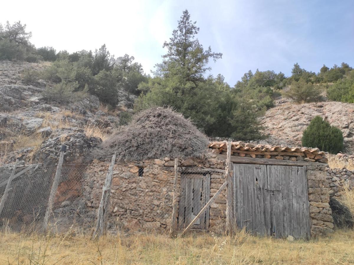 Casa Rural Sierra Del Solorio Iruecha Экстерьер фото