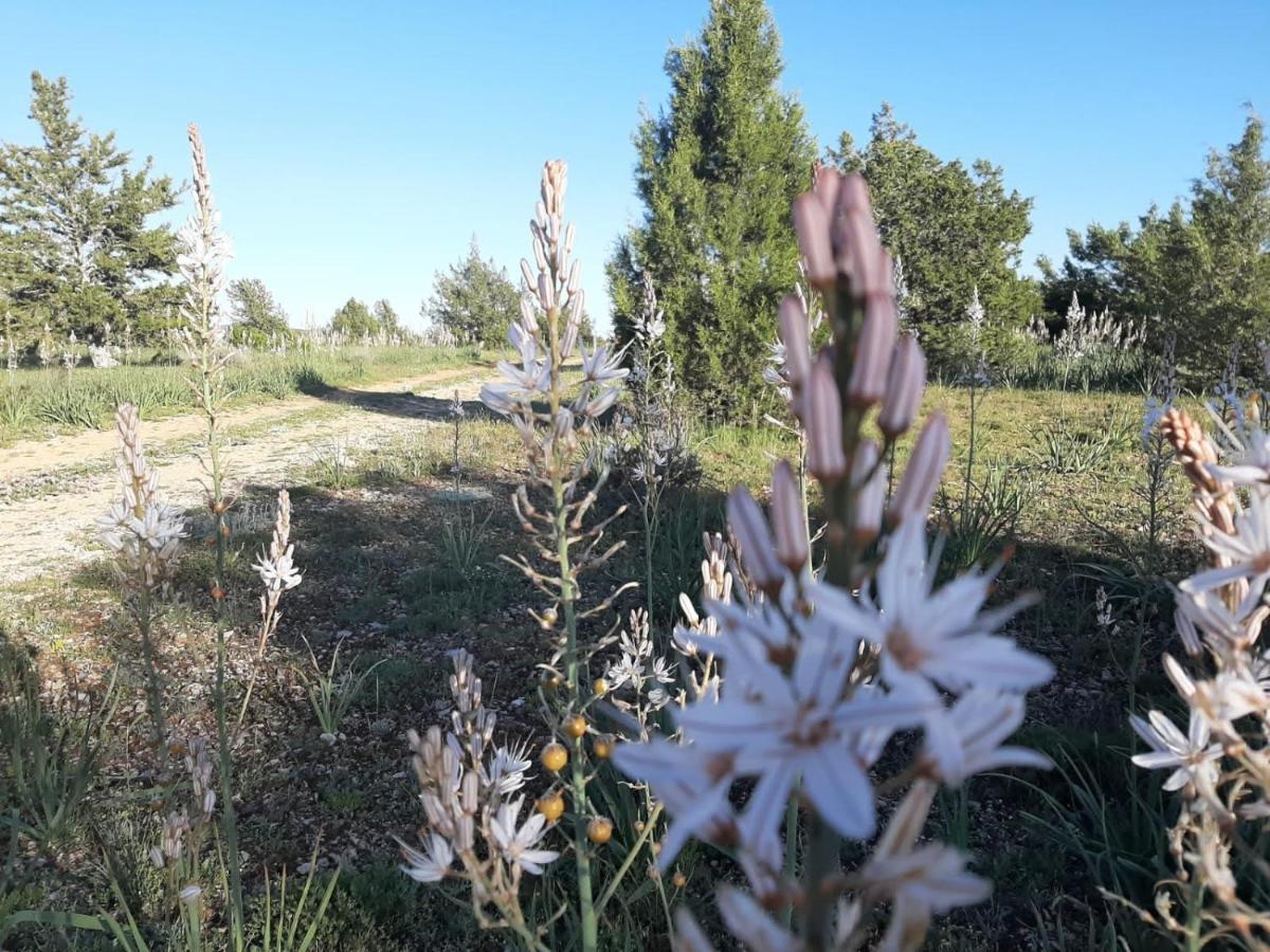 Casa Rural Sierra Del Solorio Iruecha Экстерьер фото